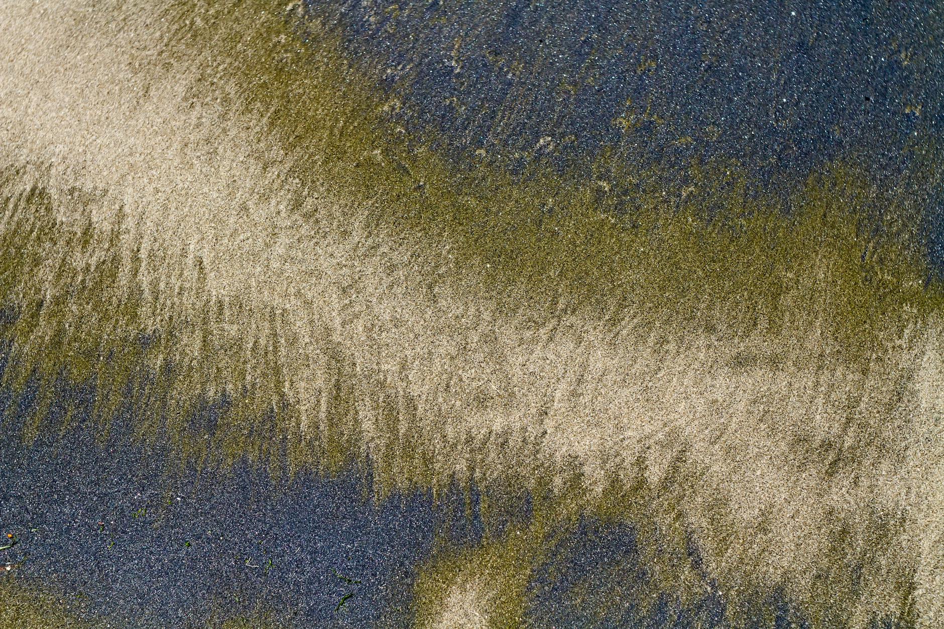 How Much Faster Are TSA PreCheck Lines at Orlando International Airport?