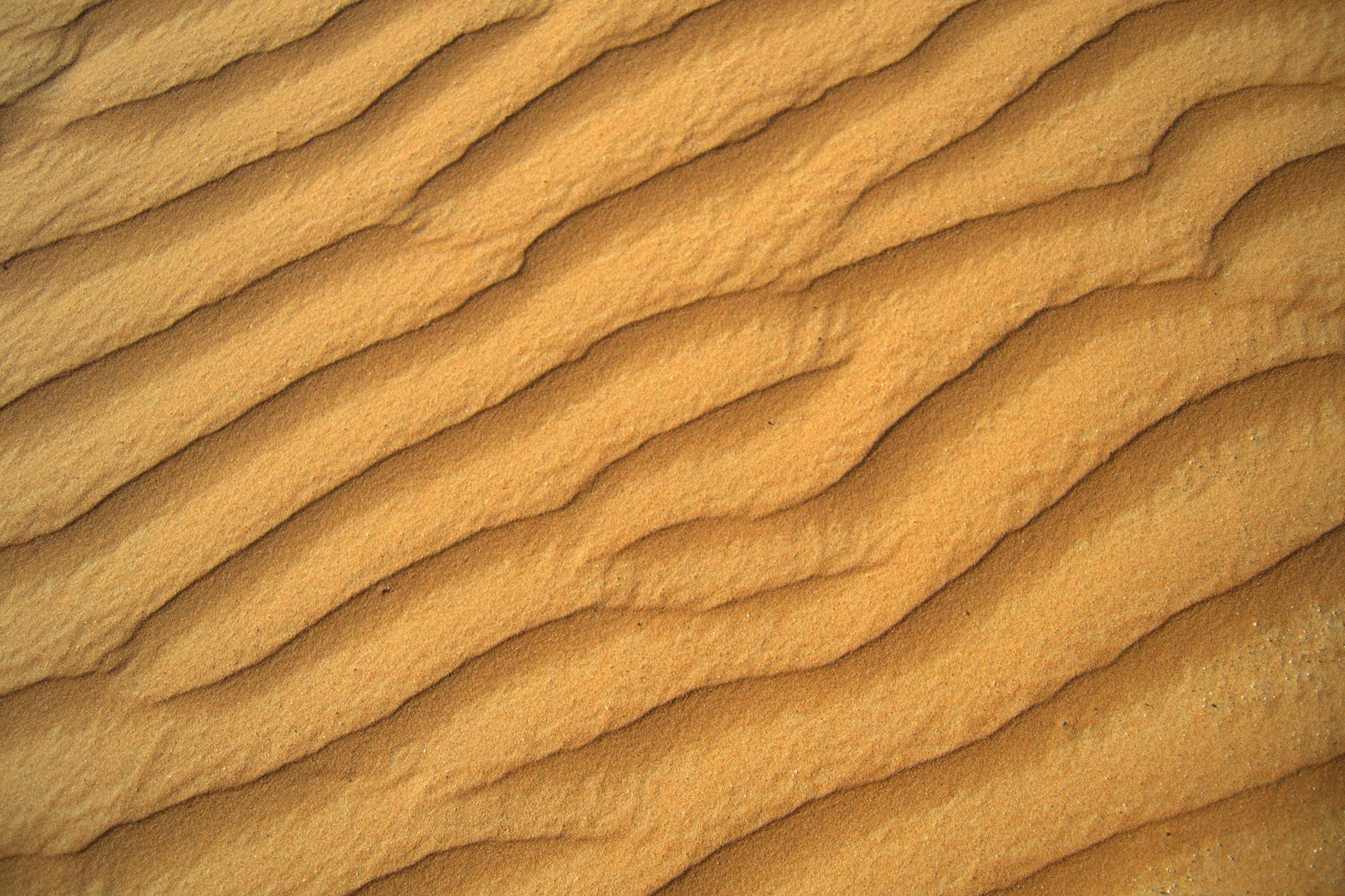 Seasonal Patterns and Holiday Travel at Boston Logan