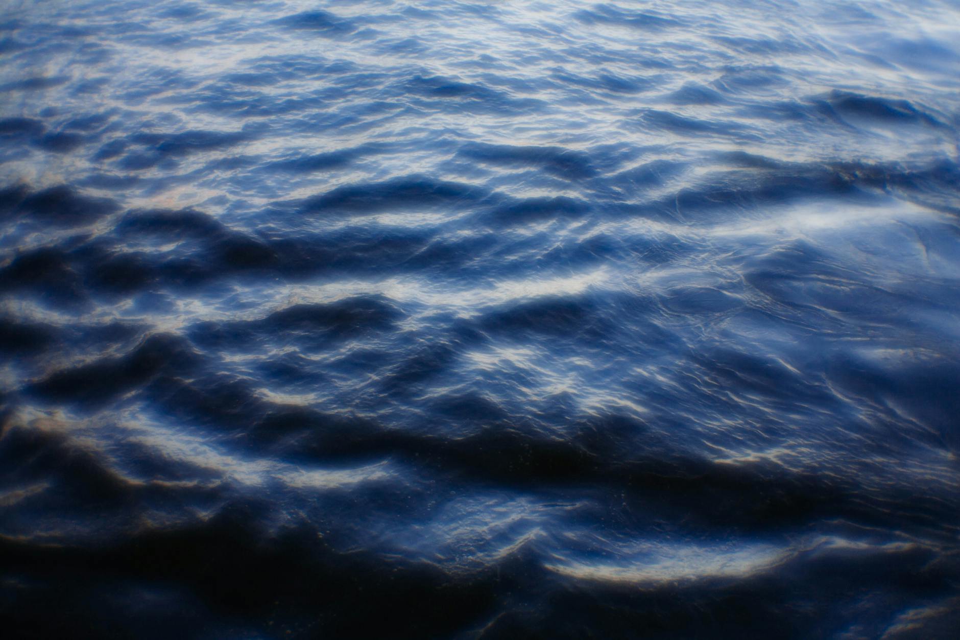 What Are Current TSA Wait Times at Dallas Fort Worth International Airport?