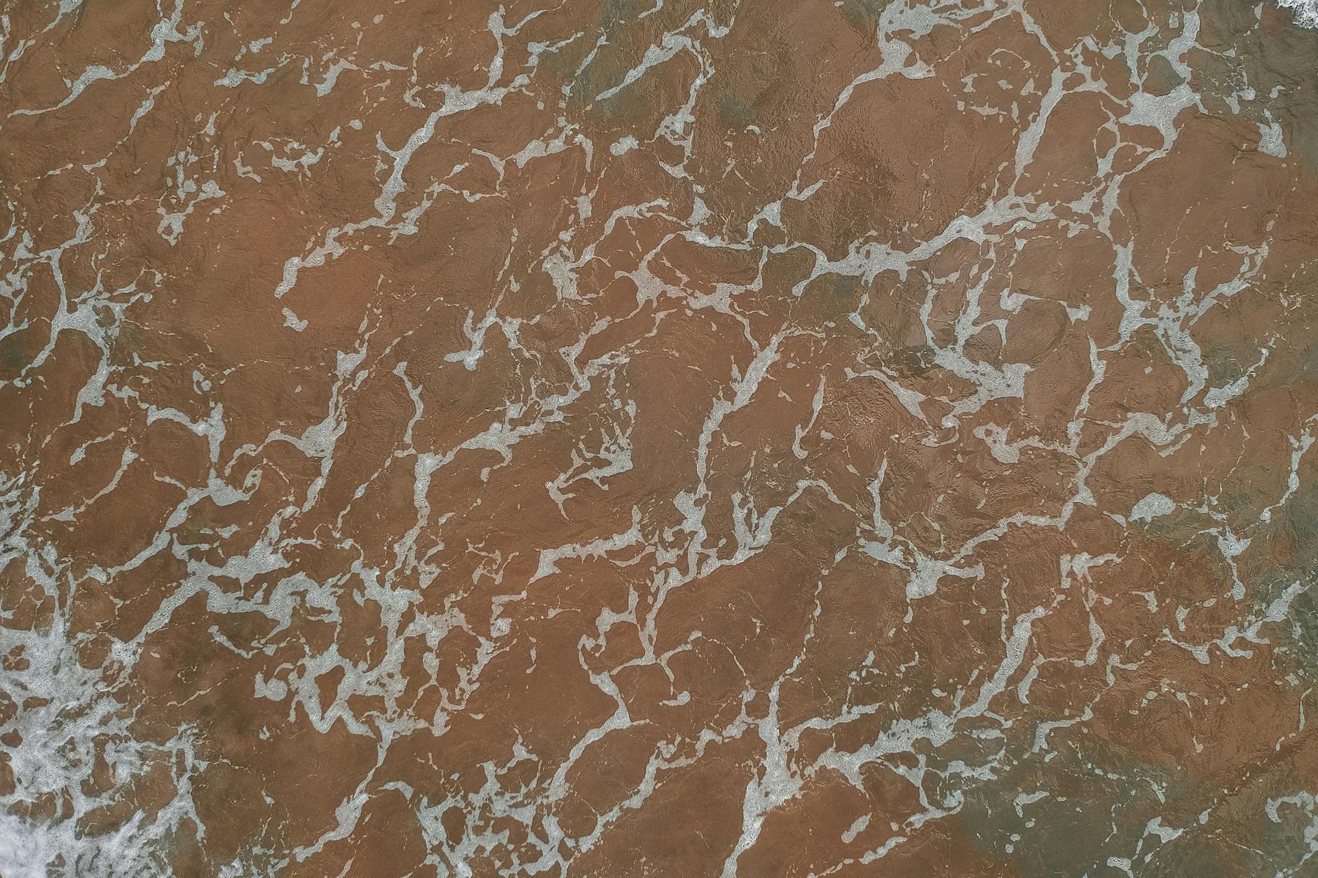 What Are Current TSA Wait Times at San Francisco International Airport?