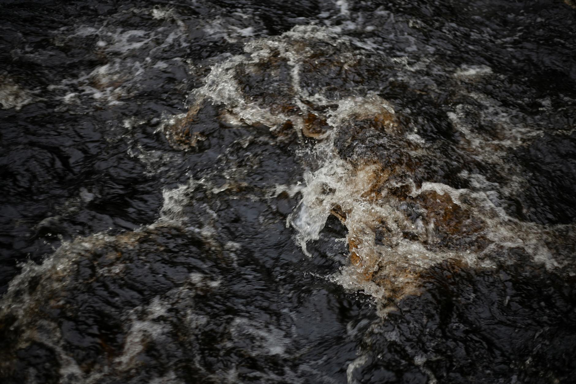 What Are the Current TSA Wait Times at O'Hare International Airport Right Now?