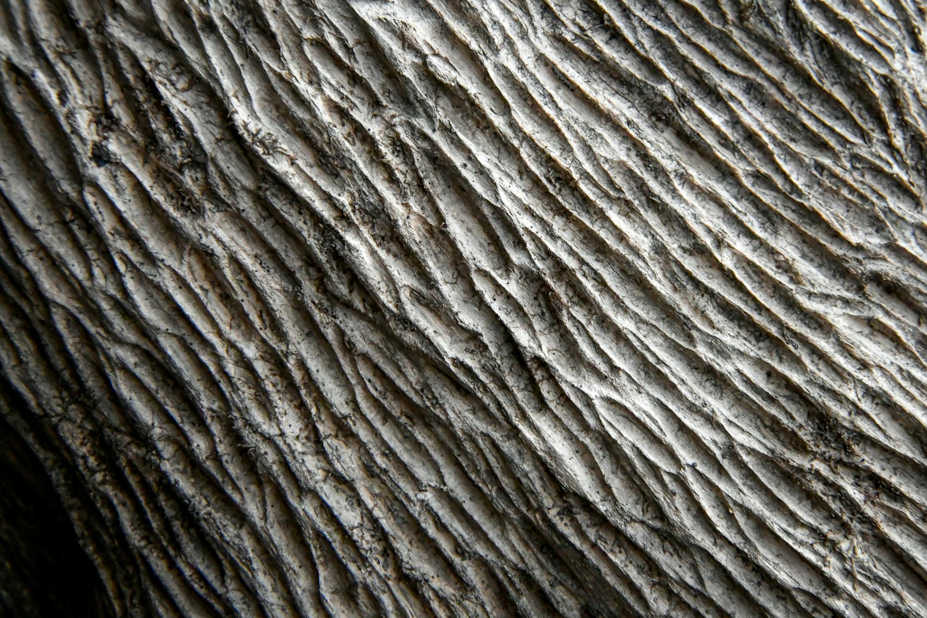 What Are the Optimal Times to Clear TSA at Chicago O'Hare?