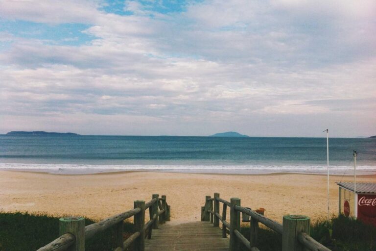 Fact Check: Does Your Unclaimed Money Earn Interest While the State Holds It? Usually No - Featured image