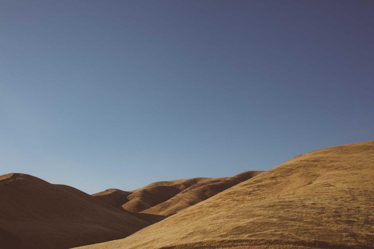 How Did Illinois Accumulate Over $5 Billion in Unclaimed Property?