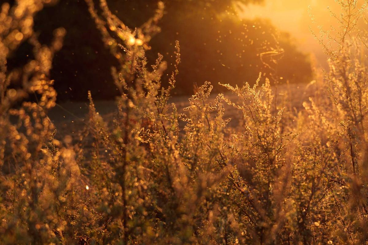 Why Utility Deposits Get Forgotten and Become Unclaimed Property