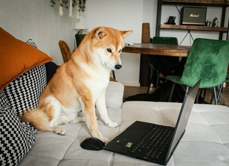 DOGE Closed the Office That Catches Medicare Fraud. Medicare Fraud Costs $60 Billion a Year. - Featured image