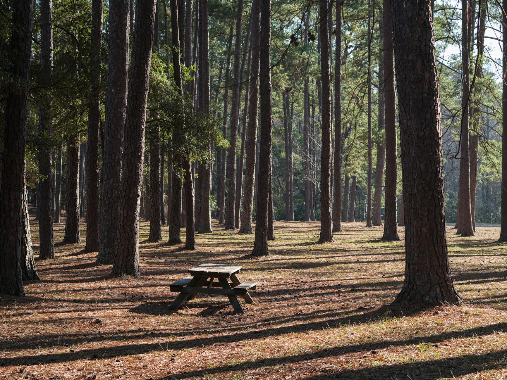 Recent Growth in South Carolina's Unclaimed Property Holdings