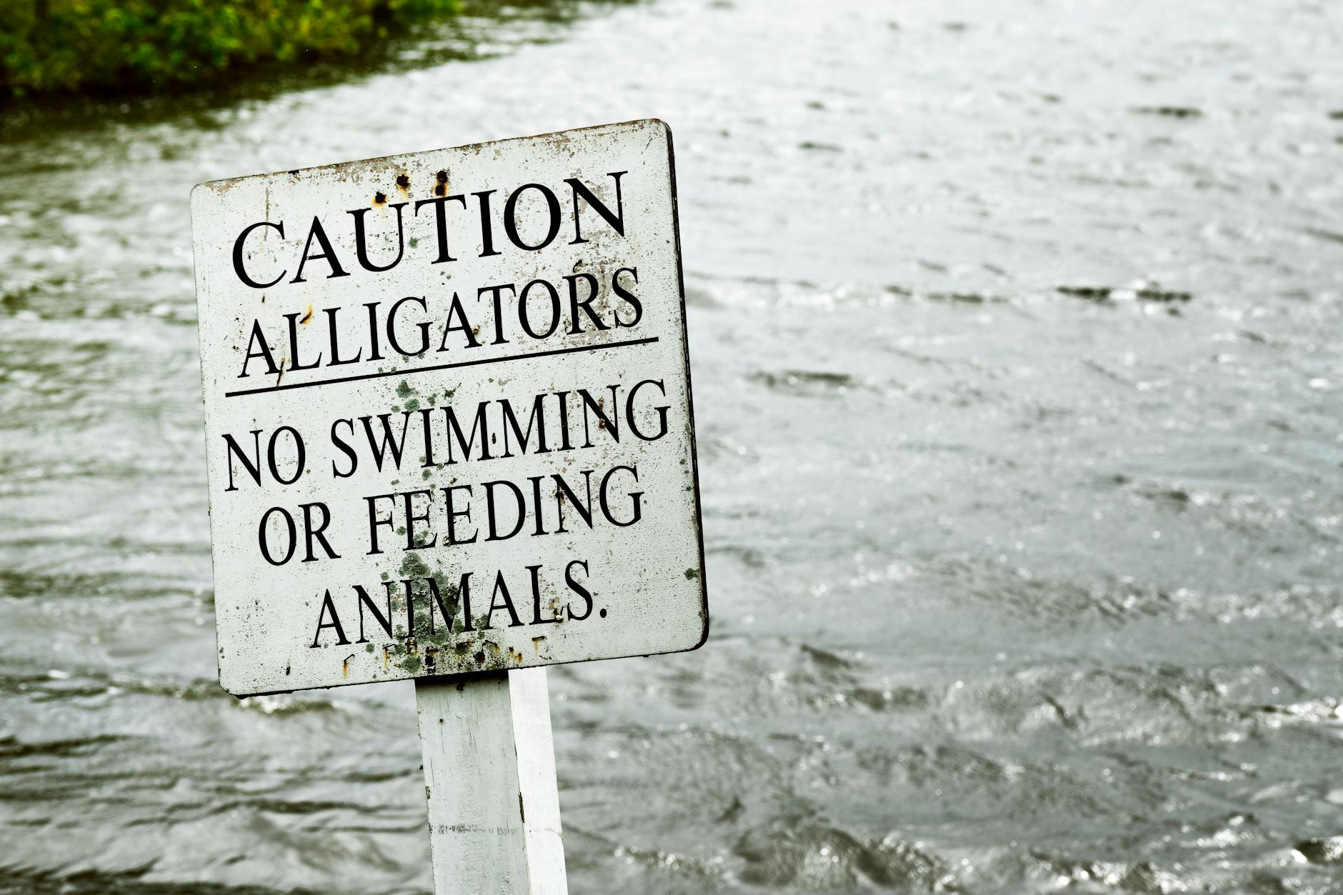 The FTC and NAUPA Warnings