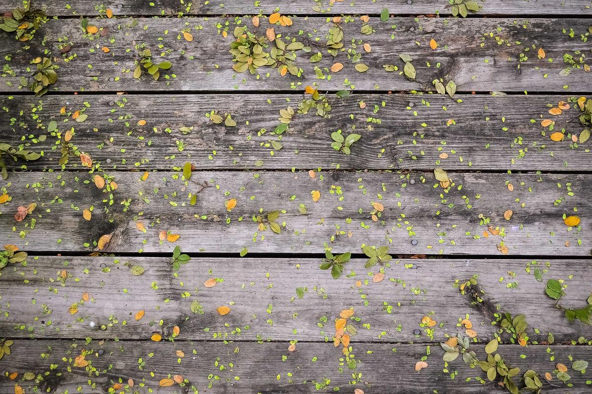 What is the Balance of Nature Settlement and How Much Can Supplement Buyers Claim?